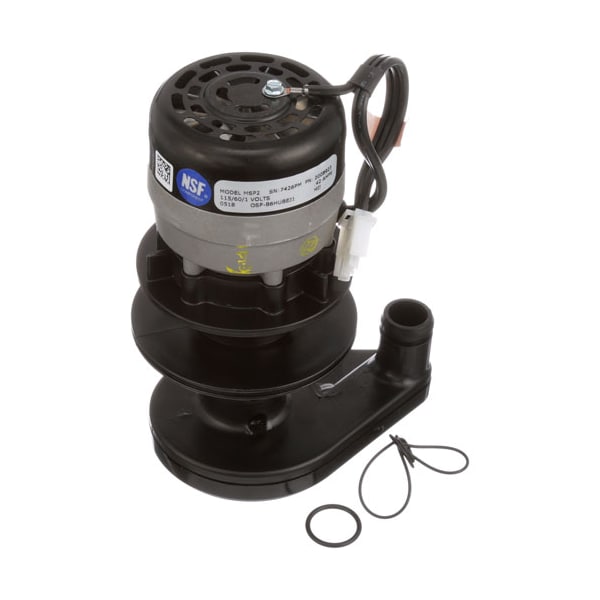 Water Pump - 115V